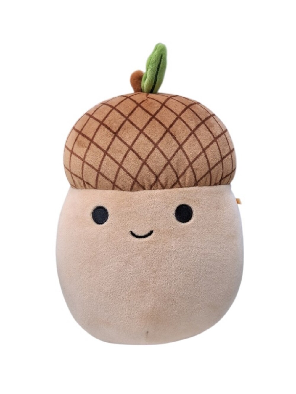 Squishmallows Mac The Acorn Plush Harvest/Nature Squad 8" NWOT